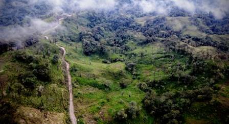Sumaco Cloudforest in Ecuador
